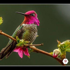 Meet your Posher, Leeann